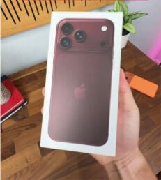 18 PRO MAX 256 GB