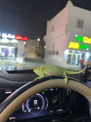 للبيع