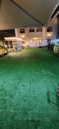 Artificial Grass carpet