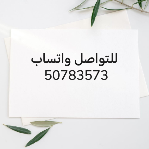 أستاذة