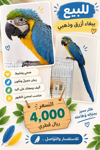 للبيع