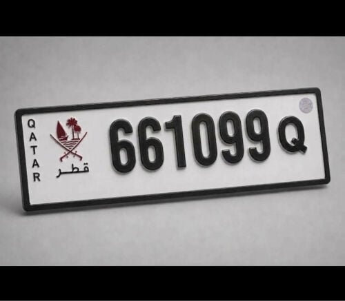 6699 Special Plate Number