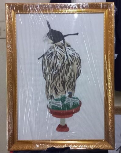 falcon frame size 26.._18