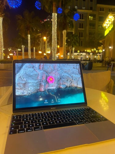  Rose Gold MacBook 12-inch (2016)
