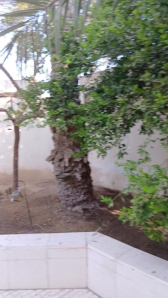 واسع الخبره والذكاء بما يكفي