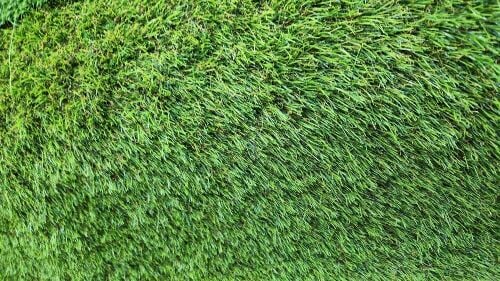 grass carpet