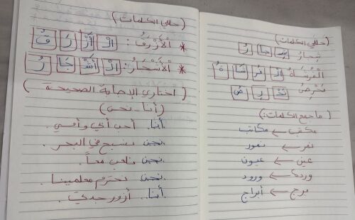 مدرسة شاطرة