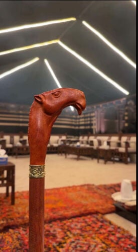 عصي