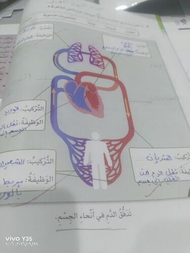 teacher English