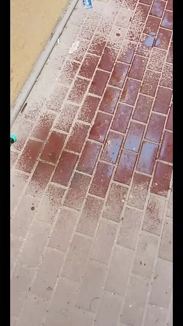 مكافحه الحشرات