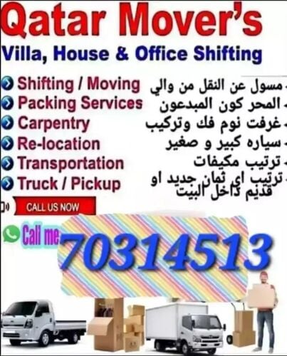 professional movers and packers