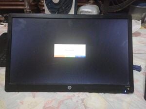 HP W2072a 20-inch MONITOR