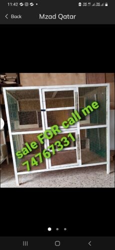 chicken and pigeon  Cage's