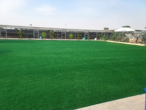 Artificial grass, green grass carpe
