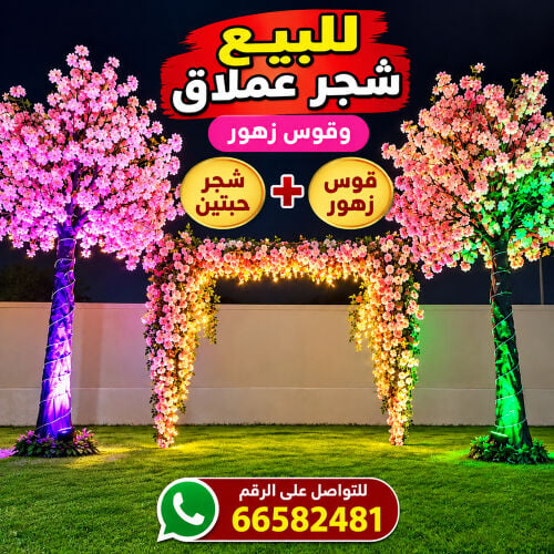 شجر عملاق  +قوس زهور 