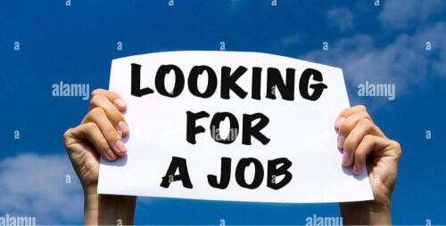 Looking for job 