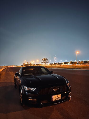 MUSTANG 2015 V6
