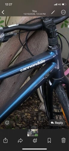 cannondale