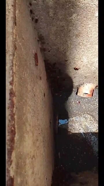 مكافحه الحشرات