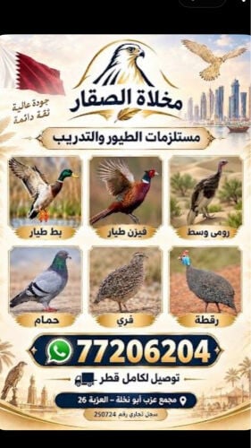 للبيع كل العلايم بط فزن رومي حمام