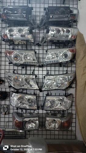 All kinds of body parts