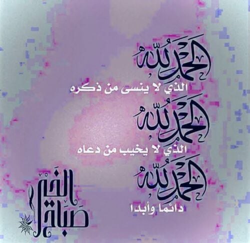 مطلوب مصور