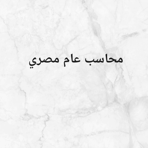 محاسب عام مصري