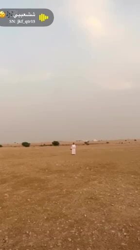 جير شاهين 