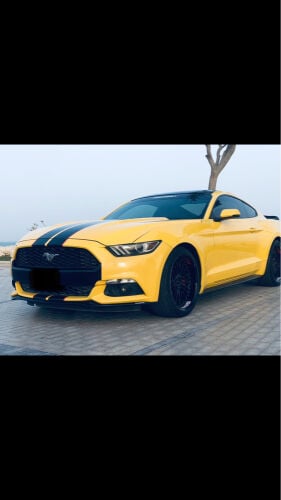 فورد مستنج