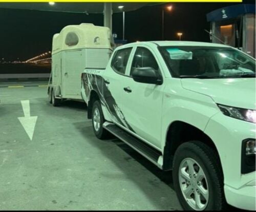نقوم بنقل الخيول جميع مناطق الدوح