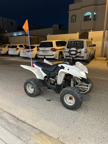 Cobra 110cc