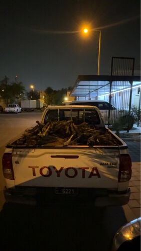 للبيع حطب 