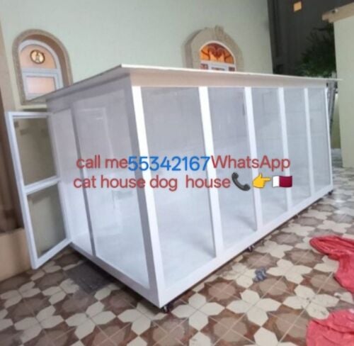 call me WhatsApp cat house no