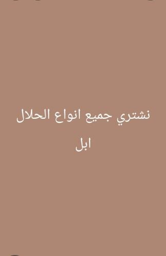 نشتري جميع انواع الحلال