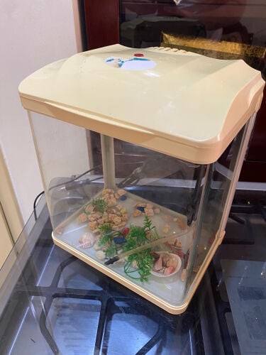 fish tank 