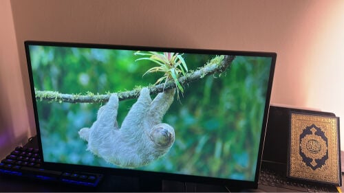 Koorui 24”monitor 144hz URGENT SALE