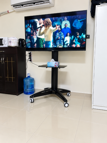 Zenan Mobile TV stand