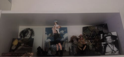 for ace fans