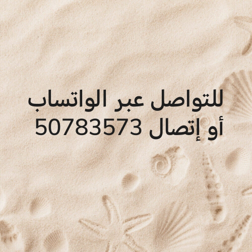 أستاذة