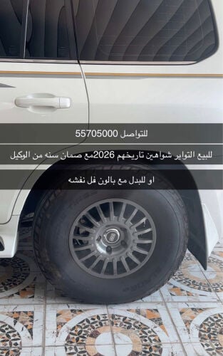 للبيع او للبدل شواهين جداد