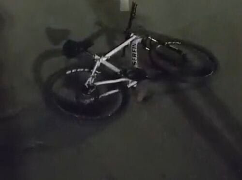 stolen bike If found pleas call