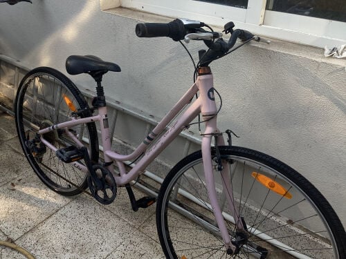Liv Flourish bike (Giant Company)