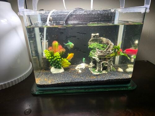 New Aquarium with Full Accessories
