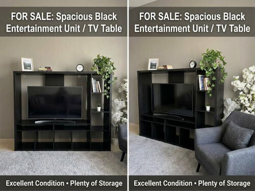 TV Entertainment Unit