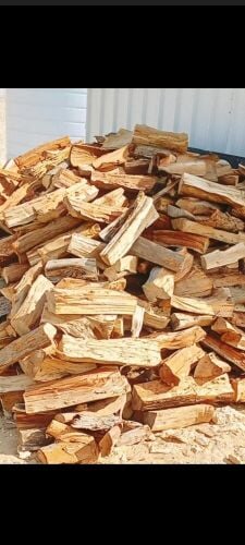 مقطع أشجار والنخيل وتنظيف الحديقه