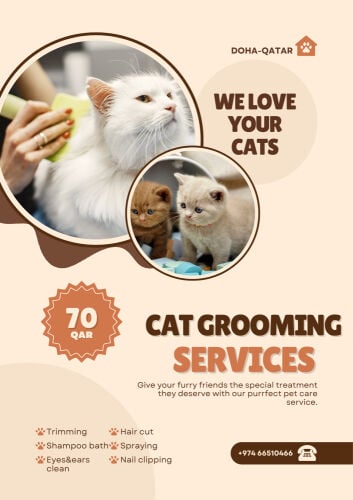 pet grooming service