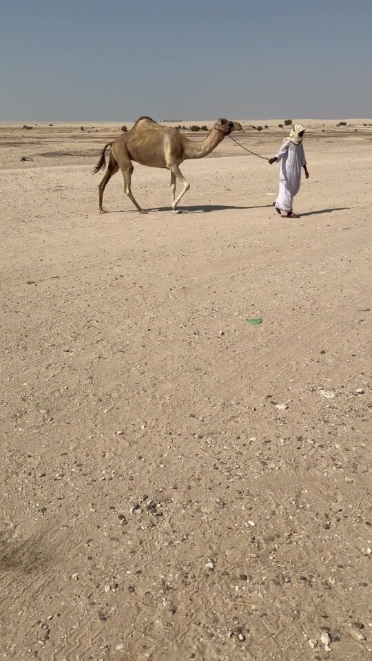 بنت شاهين بن عويضان 