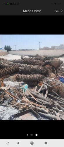 مقطع اشجار ونخيل
