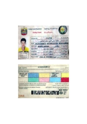 wanted driver visa Qatari house