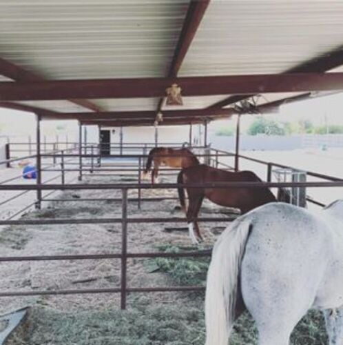 Horse stable 12x15